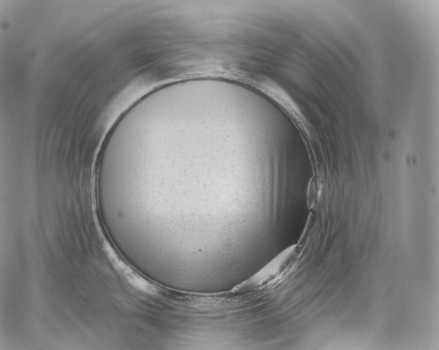 X0000059081439200510211531