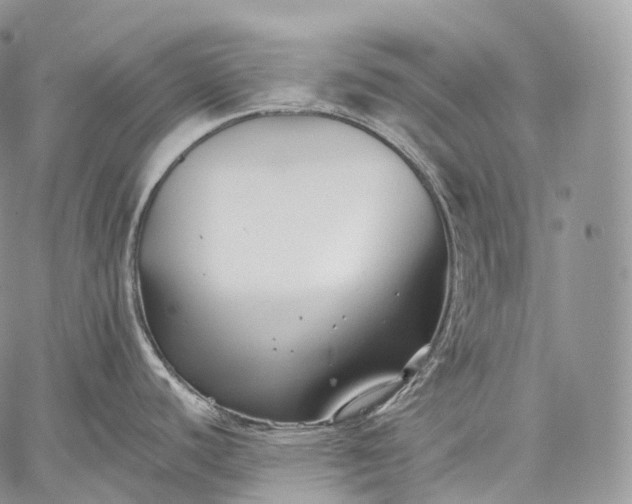 X0000059081440200510211531