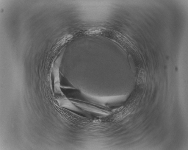 X0000059081441200510211530