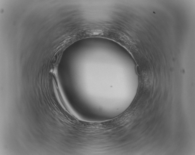 X0000059081442200510211530