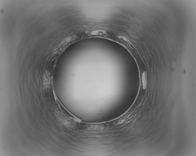 X0000059081443200510211530