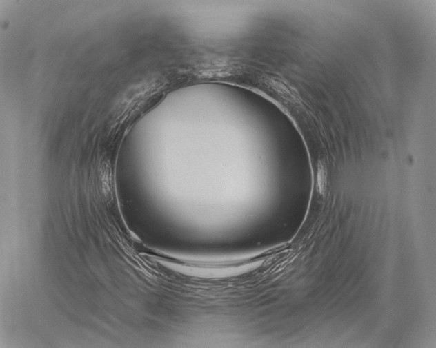 X0000059081444200510211530