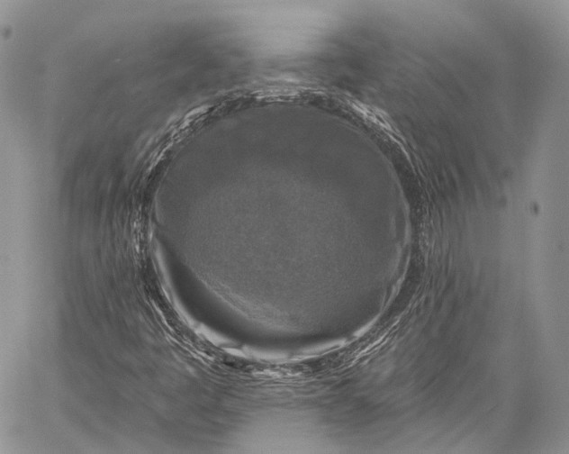 X0000059081445200510211530