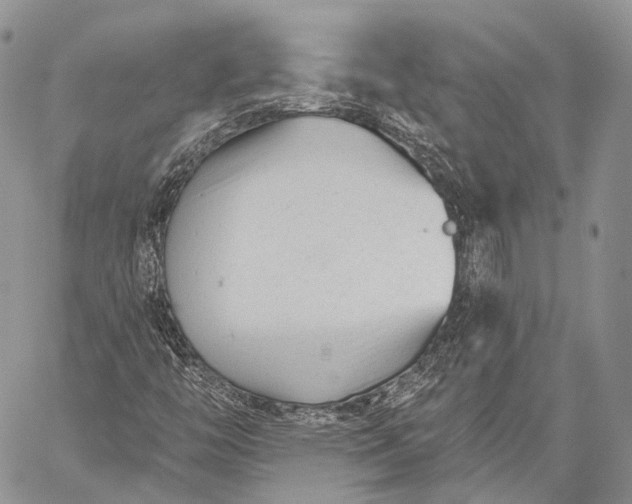 X0000059081446200510211530