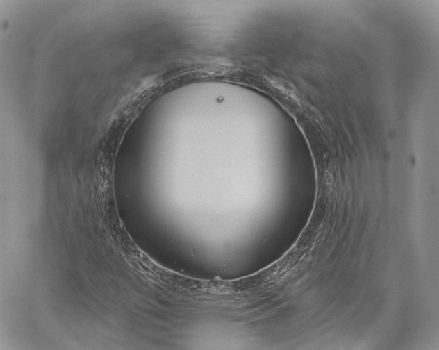 X0000059081447200510211530