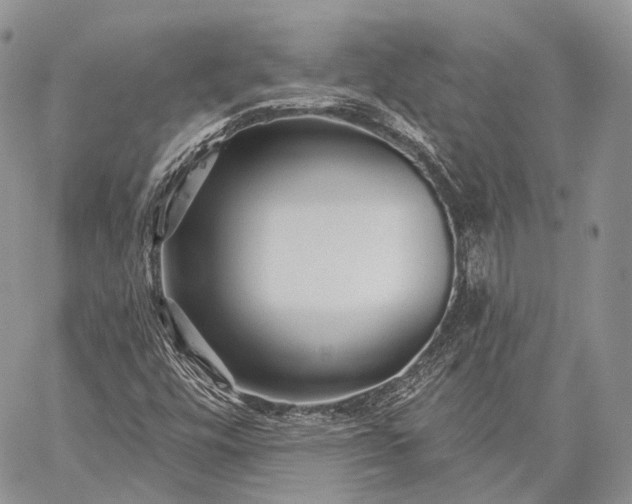 X0000059081448200510211530