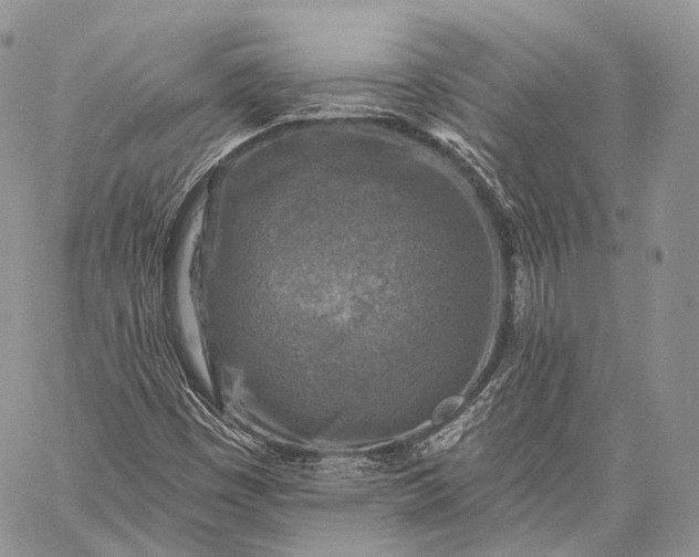 X0000059081449200510211530