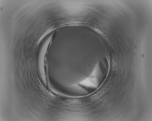 X0000059081450200510211530