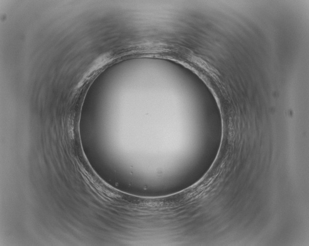 X0000059081451200510211530