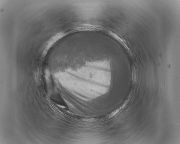 X0000059081453200510211530