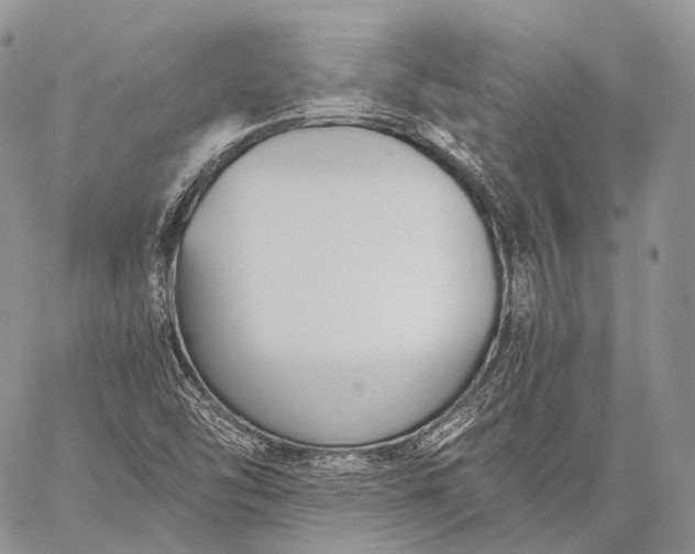 X0000059081454200510211530