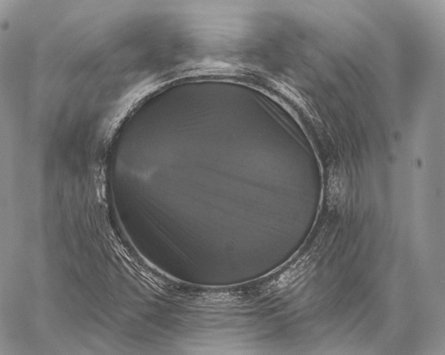 X0000059081455200510211530