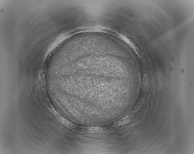 X0000059081456200510211530