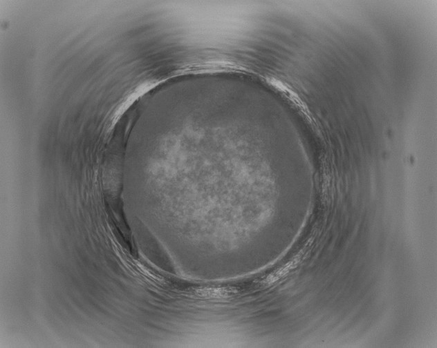 X0000059081457200510211530