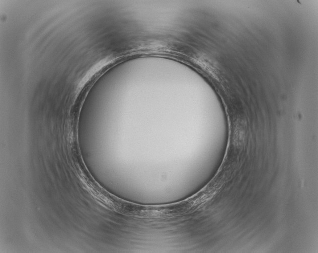 X0000059081458200510211530