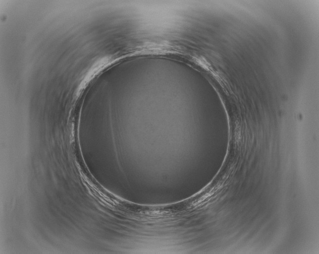 X0000059081459200510211530