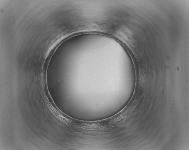 X0000059081460200510211530