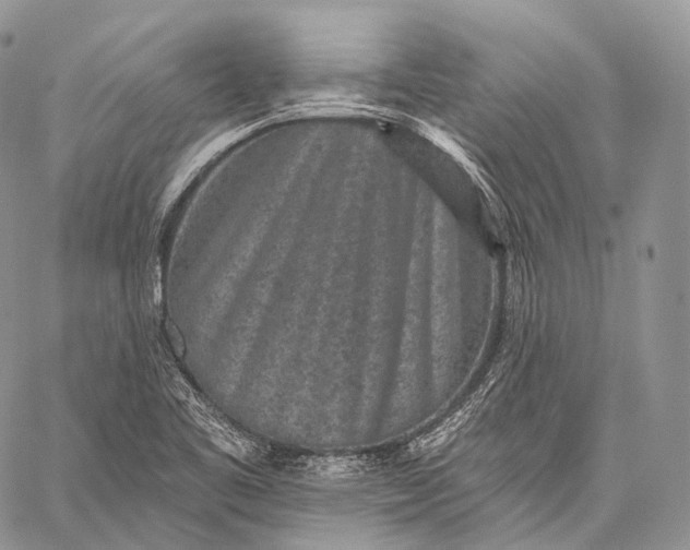 X0000059081461200510211530