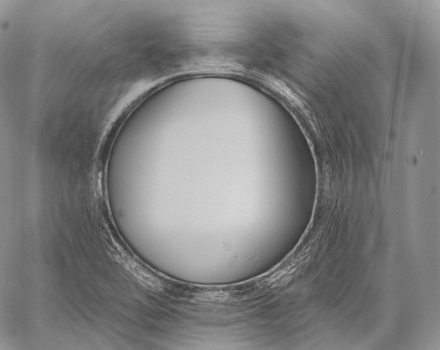 X0000059081462200510211530