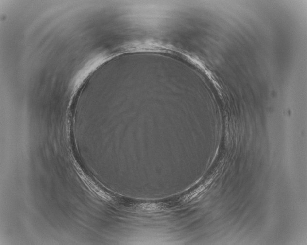 X0000059081463200510211530