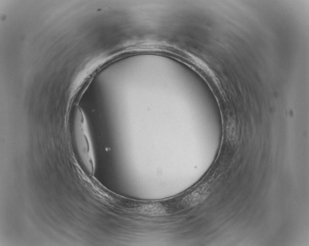 X0000059081464200510211530