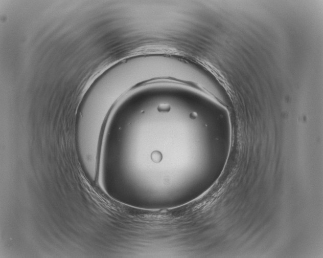 X0000059081465200510211529