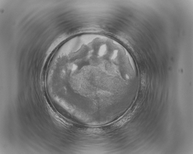 X0000059081466200510211529