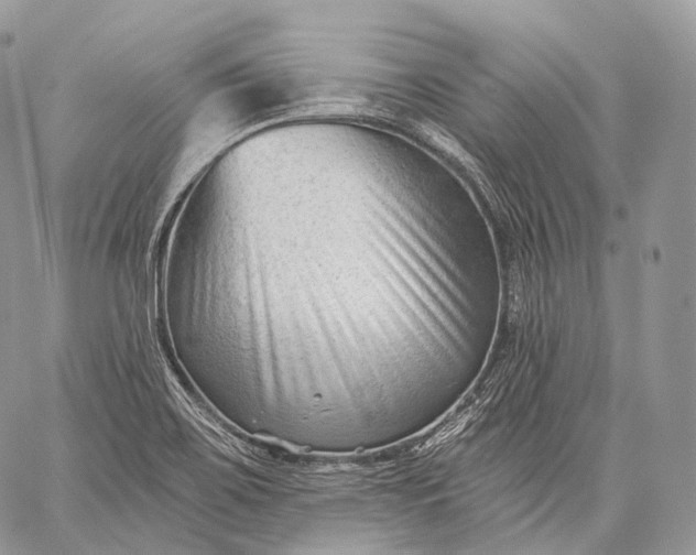 X0000059081467200510211529