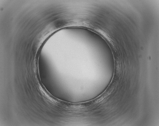 X0000059081468200510211529