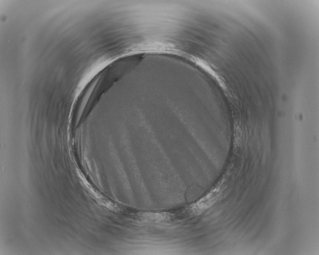 X0000059081469200510211529