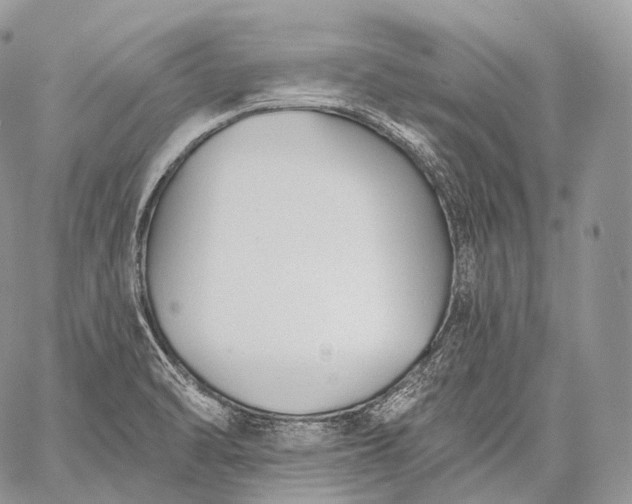 X0000059081470200510211529