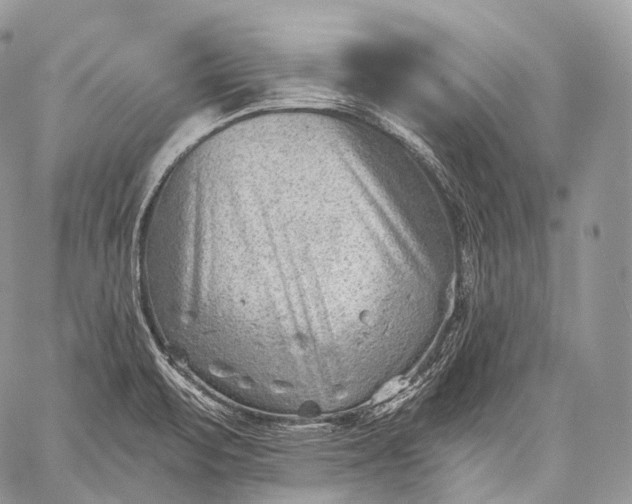 X0000059081471200510211529