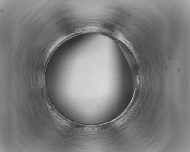 X0000059081473200510211529