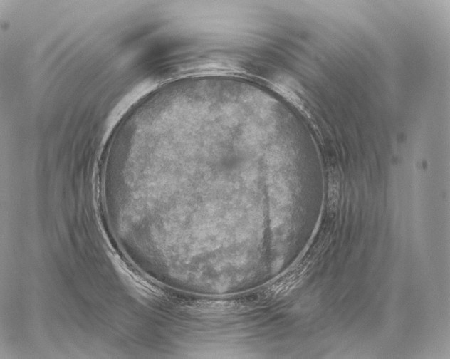 X0000059081474200510211529