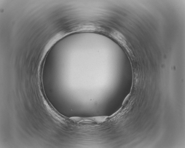 X0000059081475200510211529