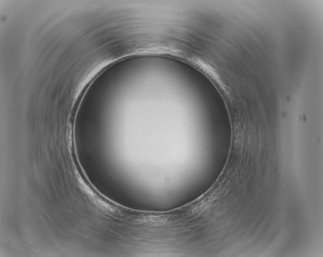 X0000059081476200510211529