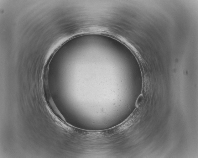 X0000059081477200510211529