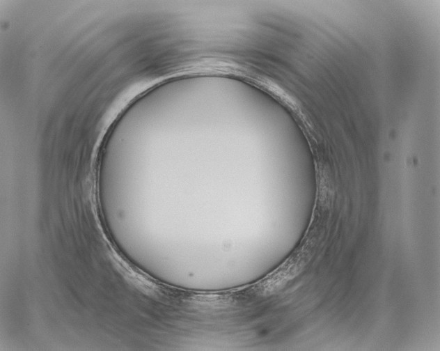 X0000059081478200510211529