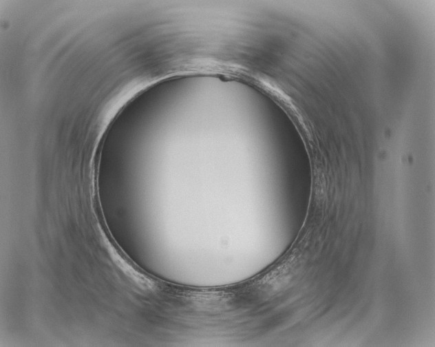 X0000059081479200510211529