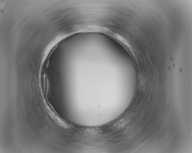 X0000059081480200510211529