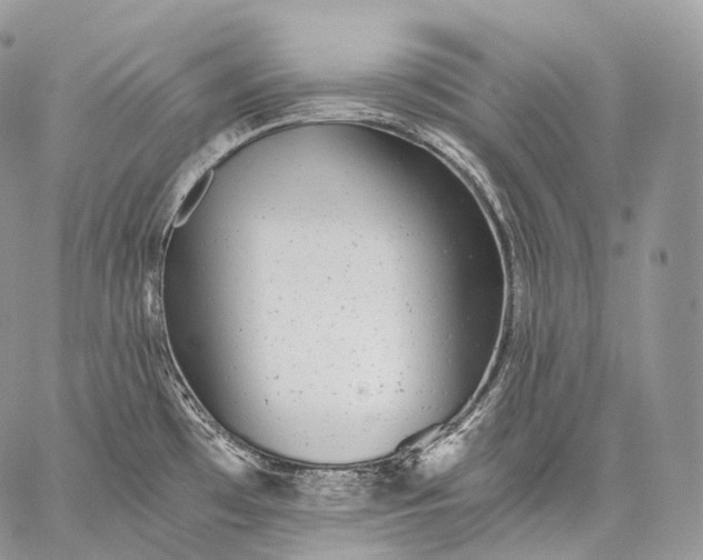 X0000059081481200510211529