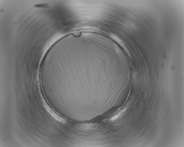 X0000059081482200510211529