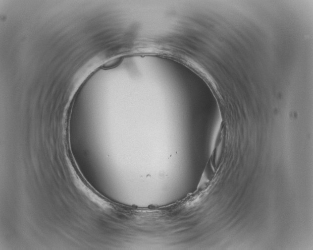 X0000059081483200510211529