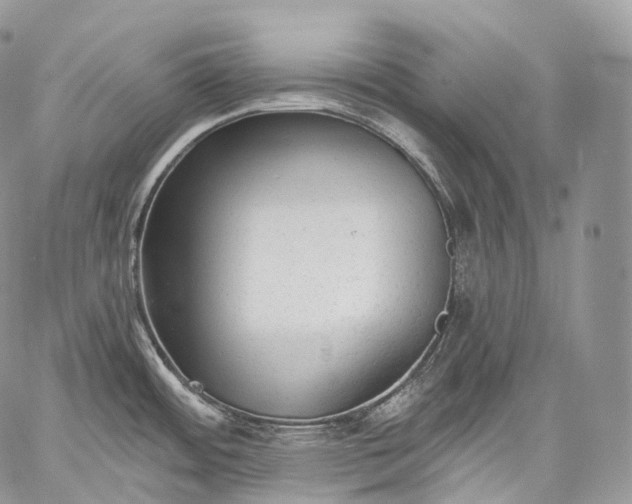 X0000059081484200510211529