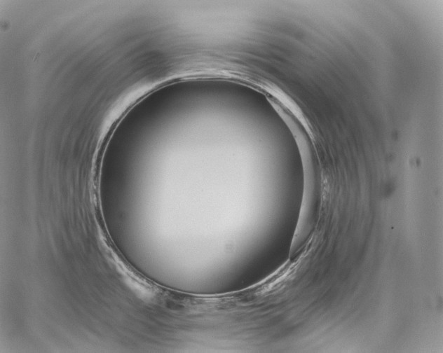 X0000059081485200510211529