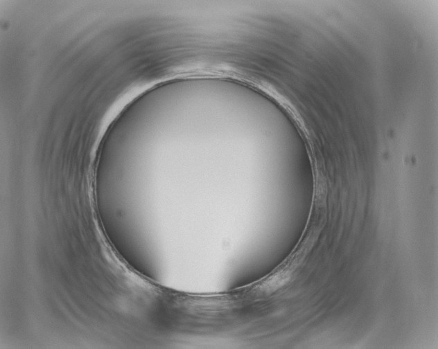 X0000059081486200510211529