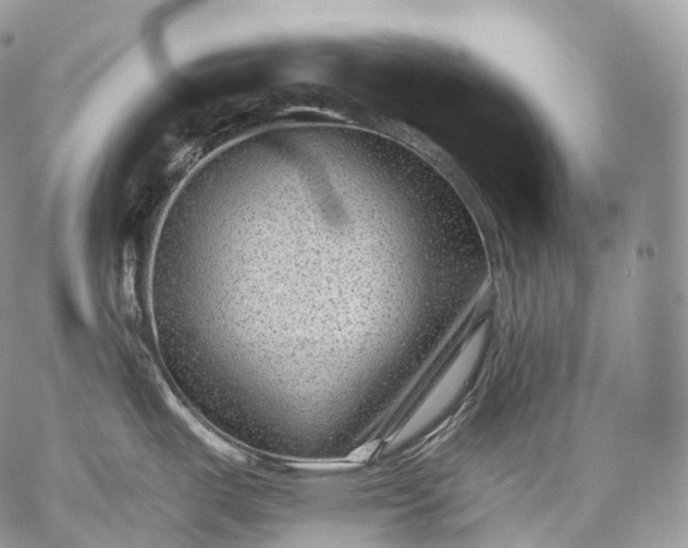 X0000059081487200510211529