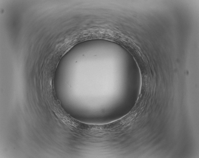 X0000059081489200510211528