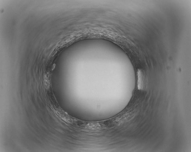 X0000059081491200510211528