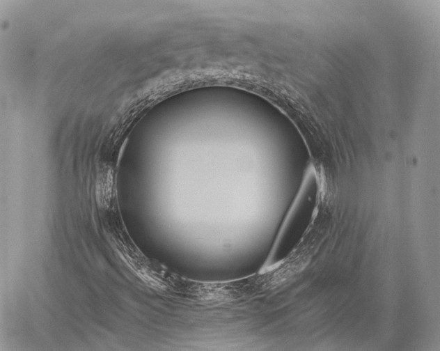 X0000059081492200510211528